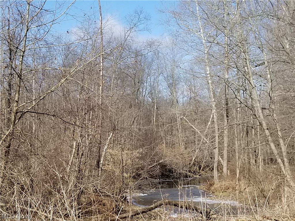 0 Custer Orangeville Road Masury, OH 44438 - Photo 11 of 14 Gallery Image 11