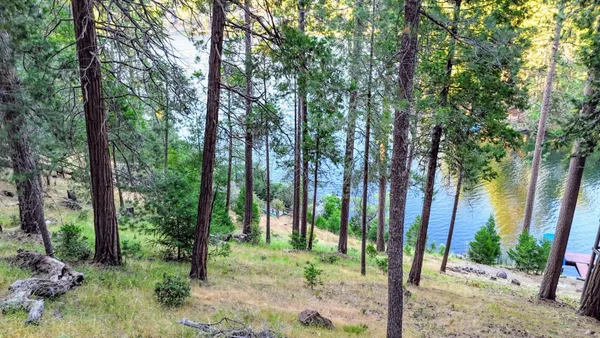 $65,000 | 20160 Lower Skyridge Drive, Unit 15/93, Groveland, CA 95321