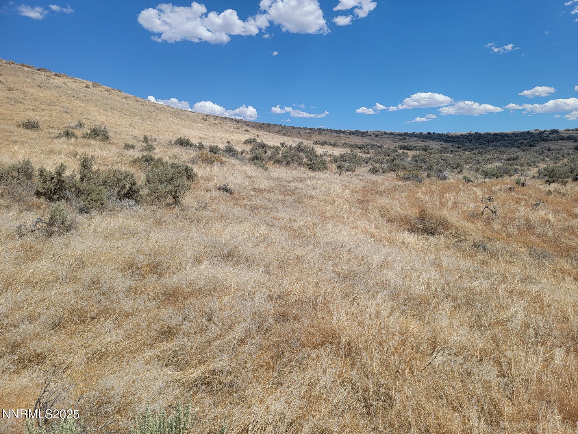 0 Dun Glen Canyon Road Imlay, NV 89418 - Photo 7 of 22 23