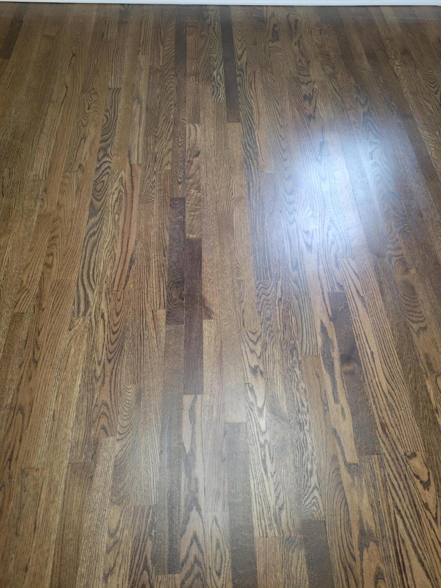 4768 Bourke Road Columbus, OH 43229 - Photo 23 of 43 20220902_184921