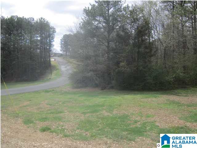 92 Scenic Trail Oneonta, AL 35121 - Photo 6 of 32