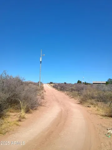 a view of a dry yard with trees