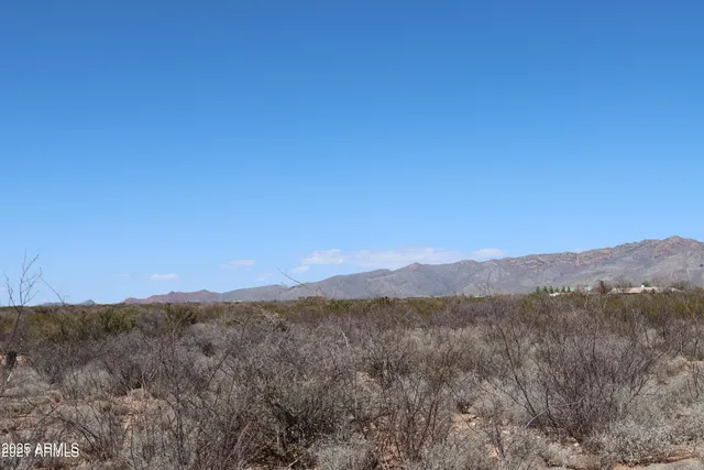 a view of a mountain