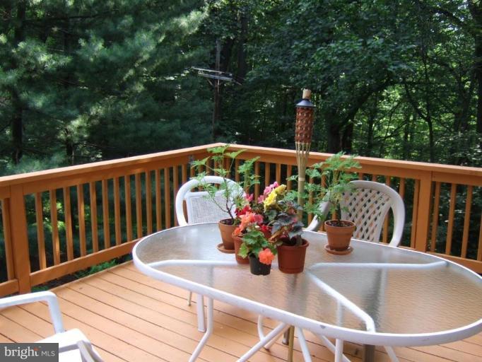 552 Blacksnake Road Elkton, MD 21921 - Photo 16 of 23 Rear Deck With View