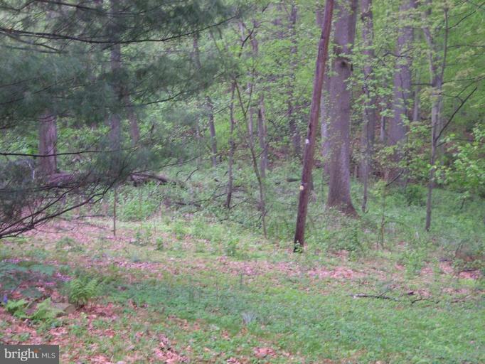 552 Blacksnake Road Elkton, MD 21921 - Photo 18 of 23 Great Views
