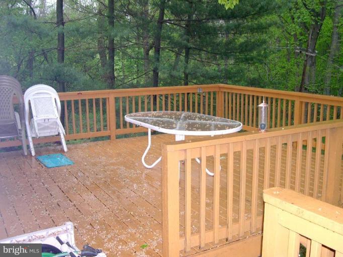 552 Blacksnake Road Elkton, MD 21921 - Photo 20 of 23 Large Rear Deck