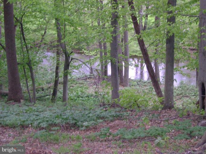 552 Blacksnake Road Elkton, MD 21921 - Photo 21 of 23 Beautiful Views