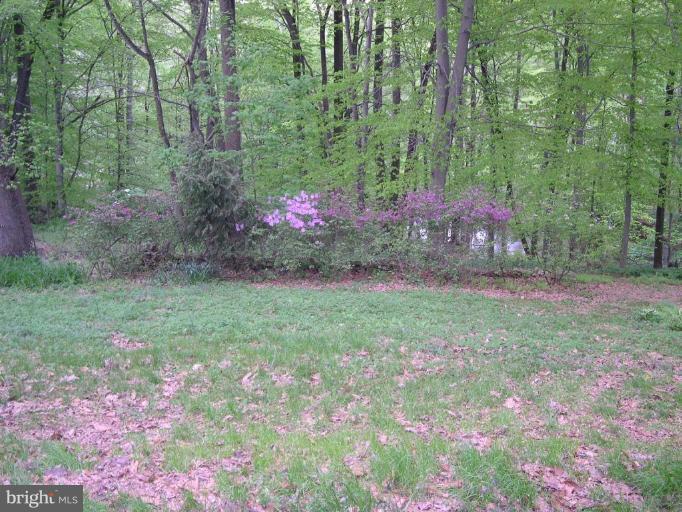 552 Blacksnake Road Elkton, MD 21921 - Photo 22 of 23 Lots of Privacy