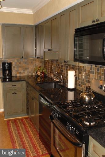 153 Finale Terrace Silver Spring, MD 20901 - Photo 9 of 18 Kitchen