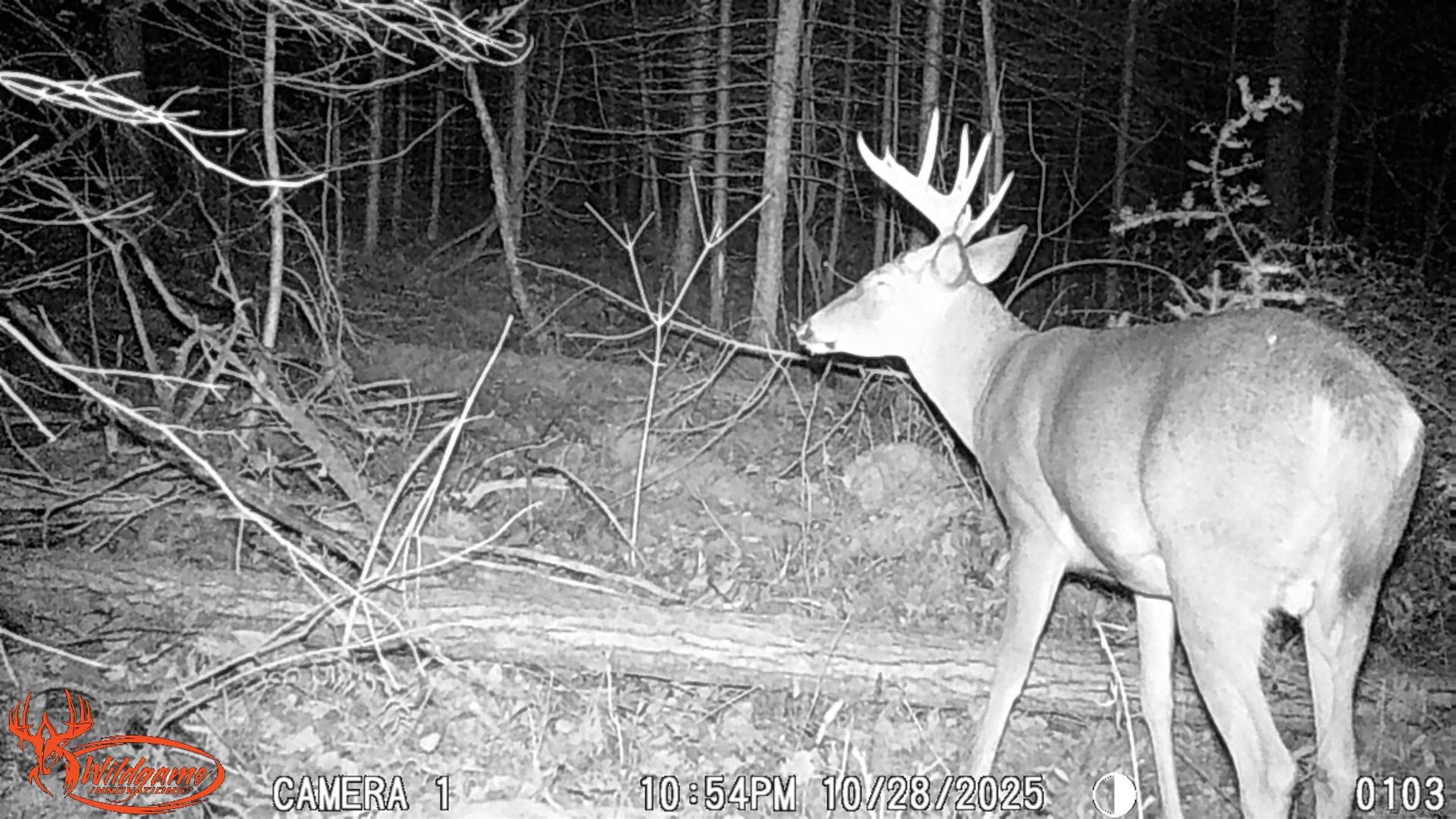 Xxx Tolan Road Spruce, MI 48762 - Photo 27 of 79