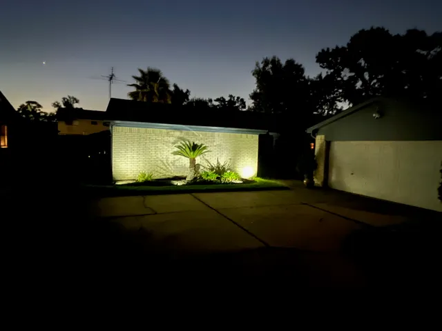 a view of a house with a yard and plants