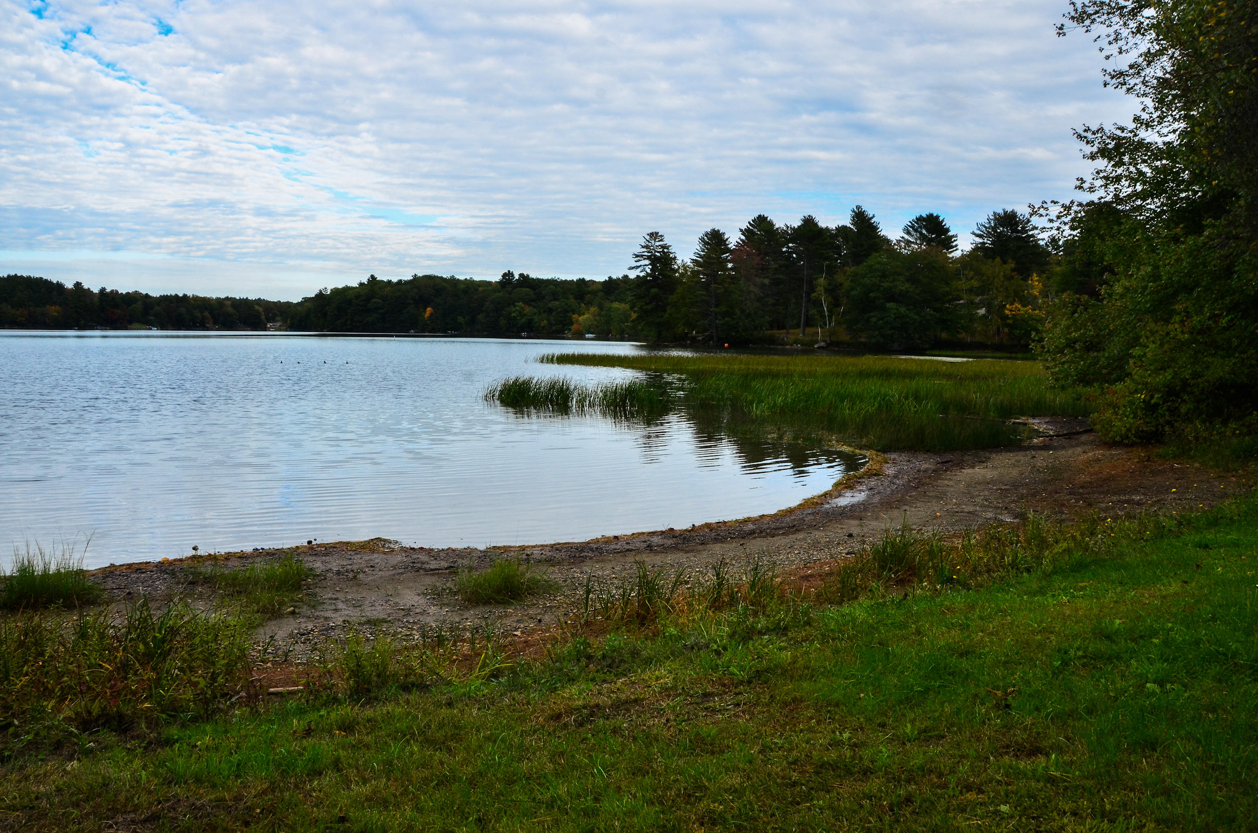 450 Wilson Pond Road North Monmouth, ME 04265 - Photo 101 of 105 0104-KRPhoto2019-DSC_0601