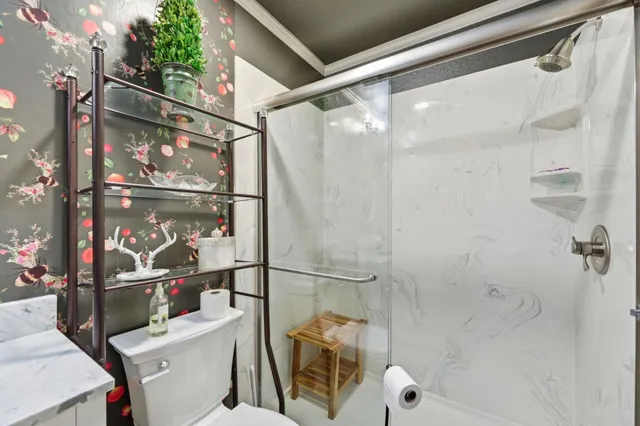 a bathroom with a shower and toilet