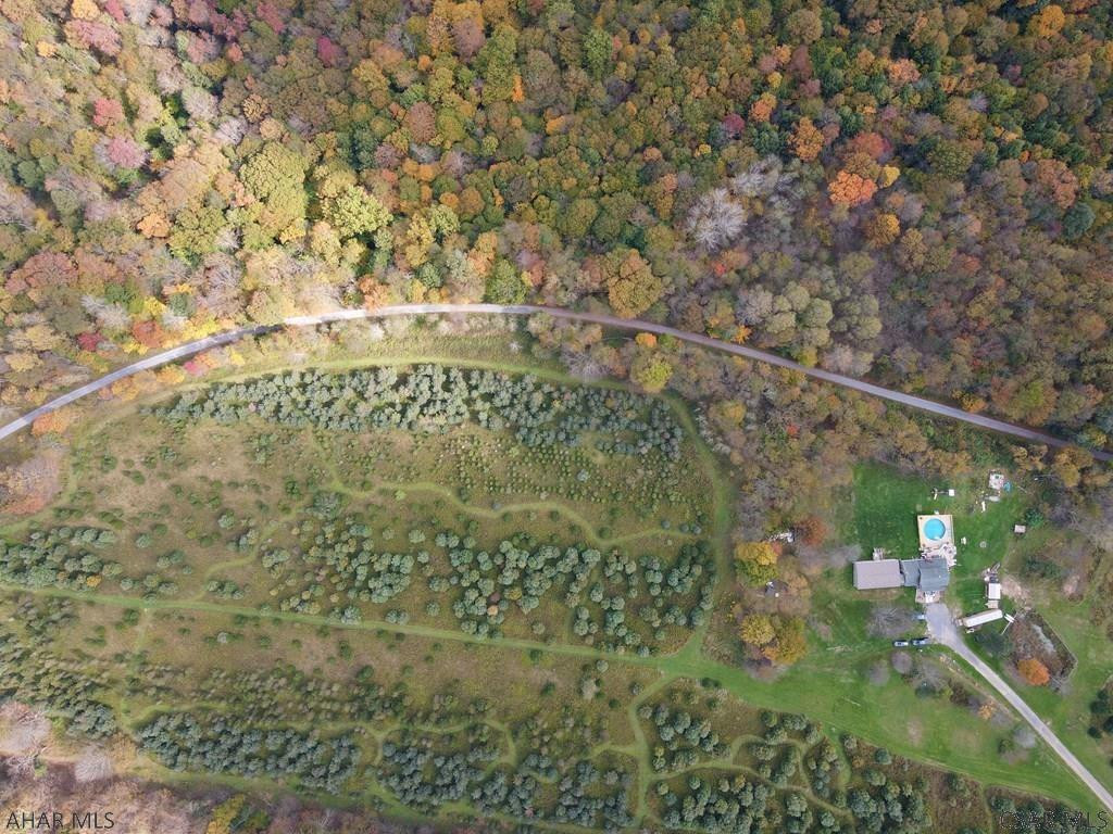49-acres 49-acres Off Of Snake Road Ebensburg, PA 15931 - Photo 2 of 6