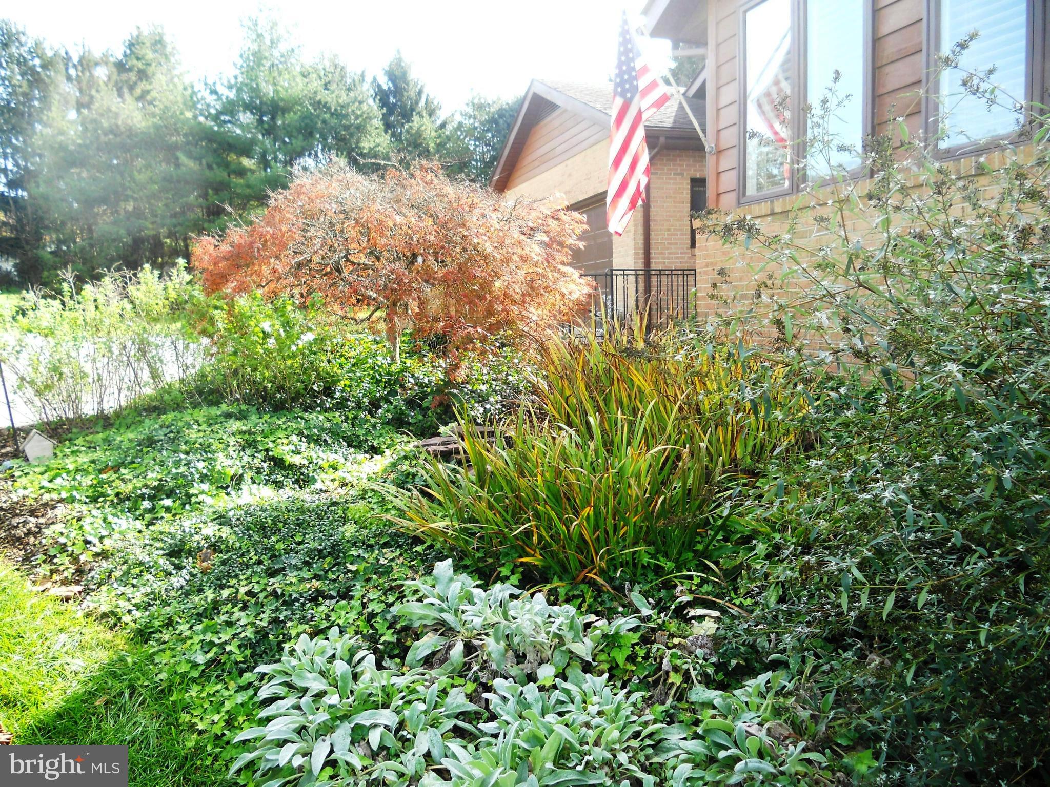 1188 Long Valley Road Westminster, MD 21158 - Photo 26 of 37 Lovely perennial garden
