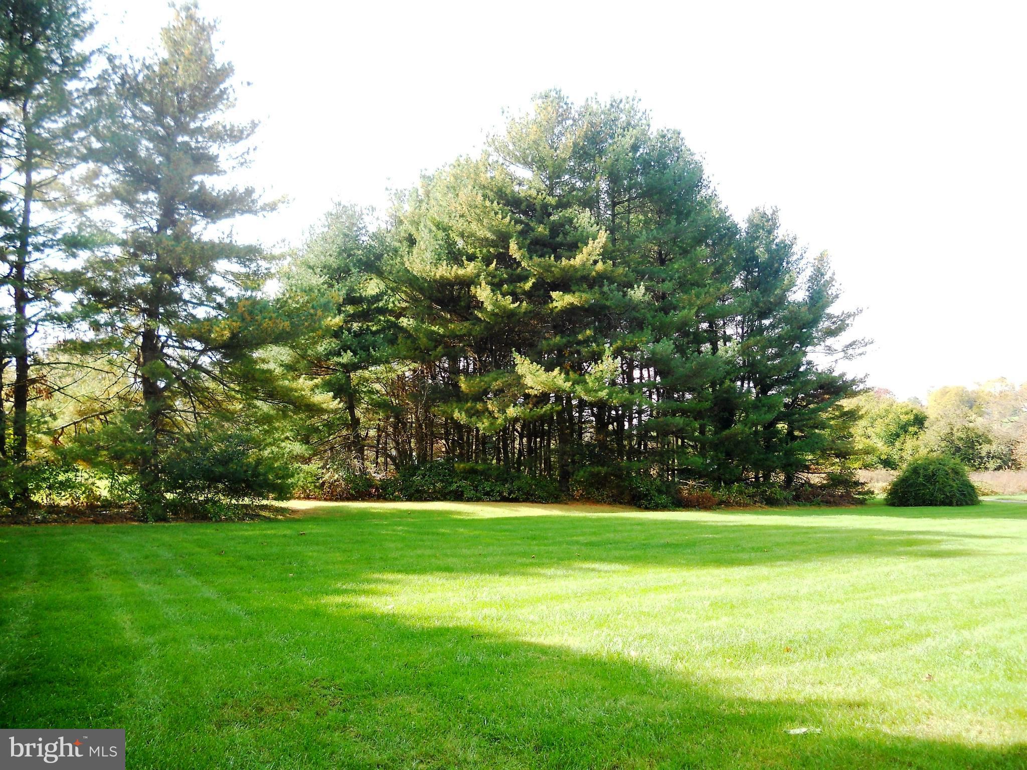 1188 Long Valley Road Westminster, MD 21158 - Photo 33 of 37 Tree lined on 2 sides offers privacy