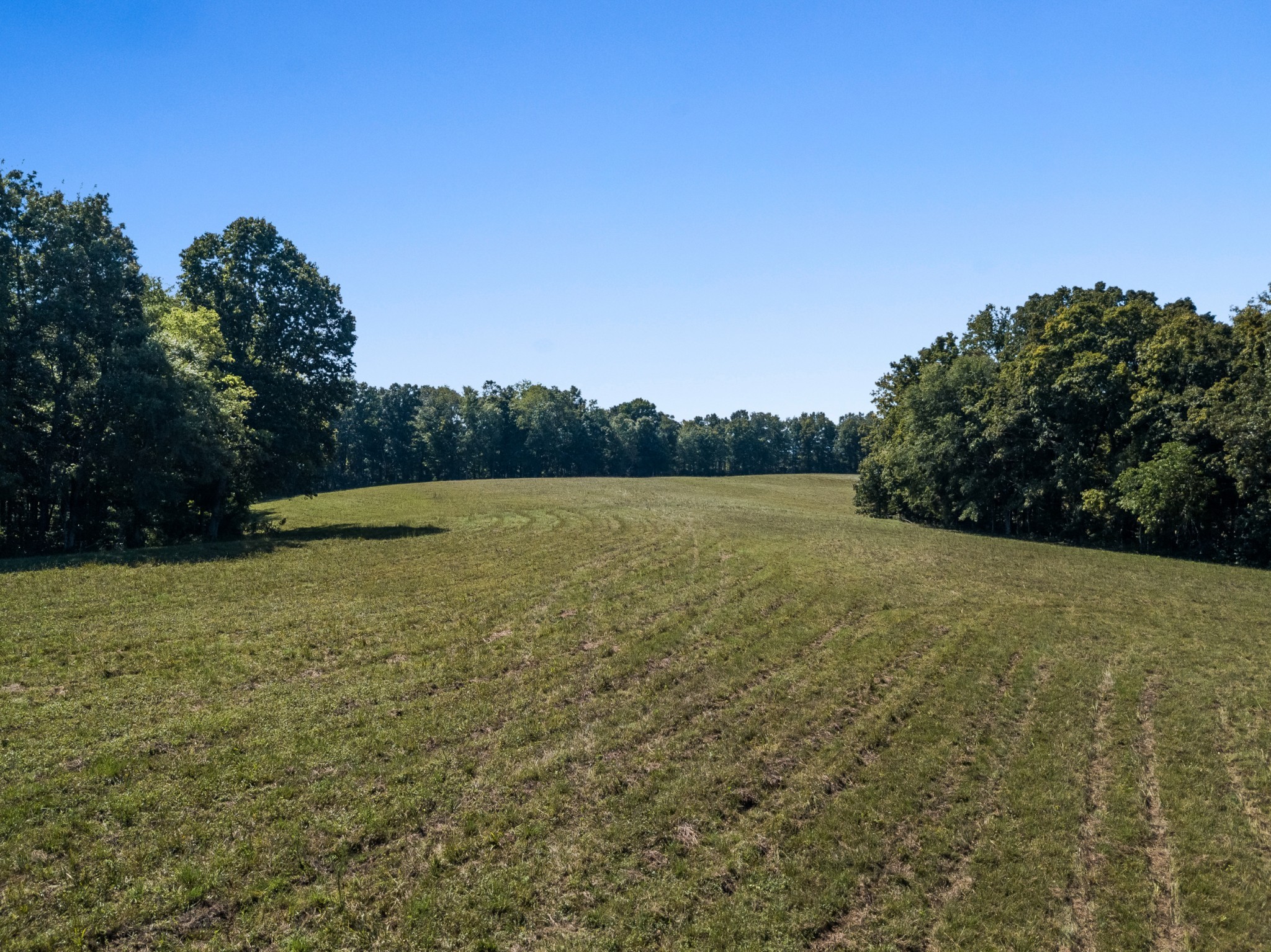 3 Albert Fentress Road Greenbrier, TN 37073 - Photo 51 of 59 Gallery Image 51