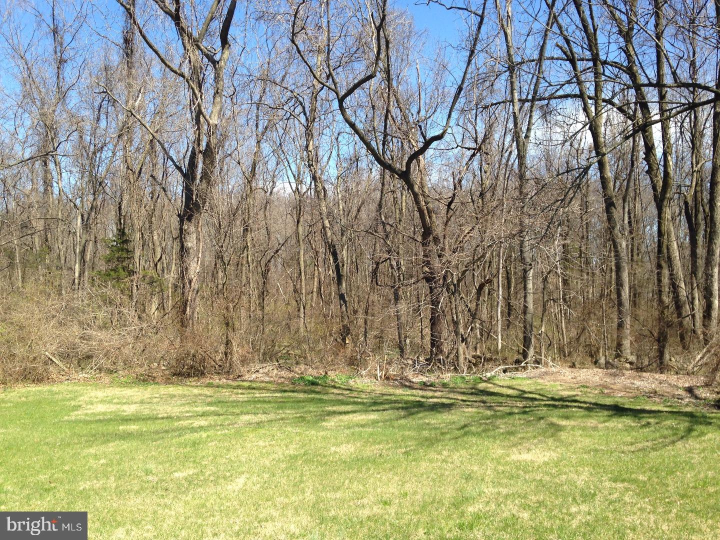 197 Rose Valley Road Pottstown, PA 19464 - Photo 22 of 25 Back Yard