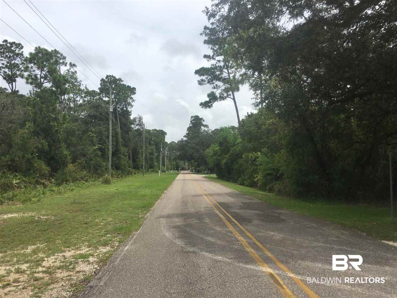 Magnolia Street Elberta, AL 36530 - Photo 6 of 8 quiet road to east