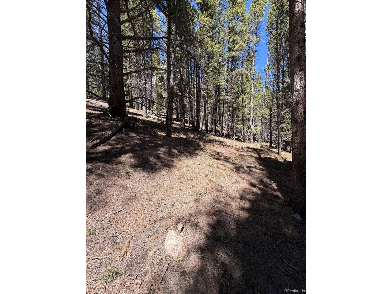 378 Alice Road Idaho Springs, CO 80452 - Photo 13 of 26 a view of a backyard of the house