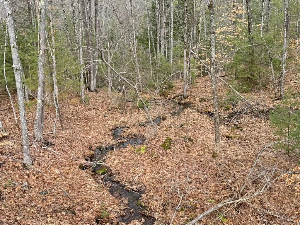 78 Hopper Road Milton, NH 03852 - Photo 2 of 9