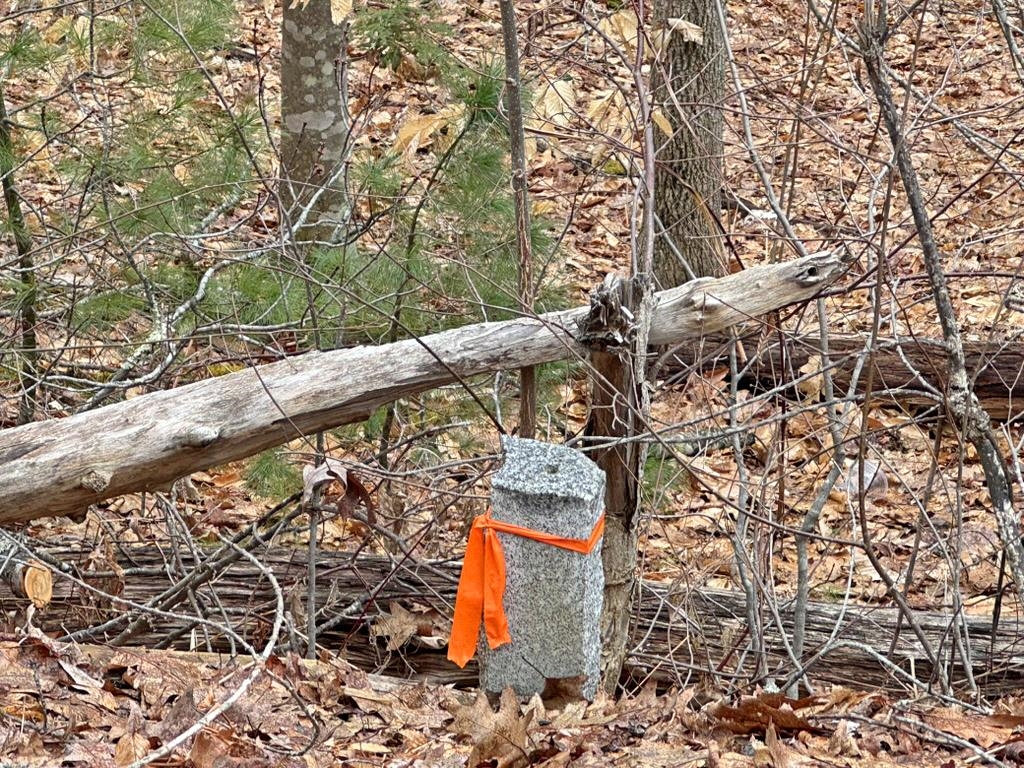 78 Hopper Road Milton, NH 03852 - Photo 4 of 9