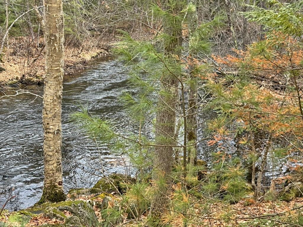 78 Hopper Road Milton, NH 03852 - Photo 5 of 9