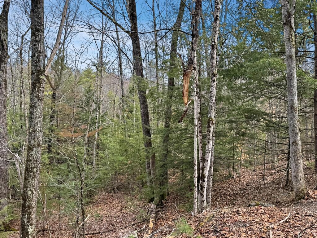 78 Hopper Road Milton, NH 03852 - Photo 6 of 9