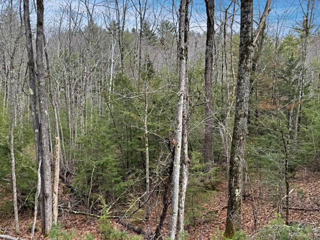 78 Hopper Road Milton, NH 03852 - Photo 8 of 9