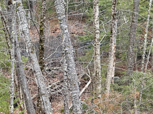 78 Hopper Road Milton, NH 03852 - Photo 9 of 9