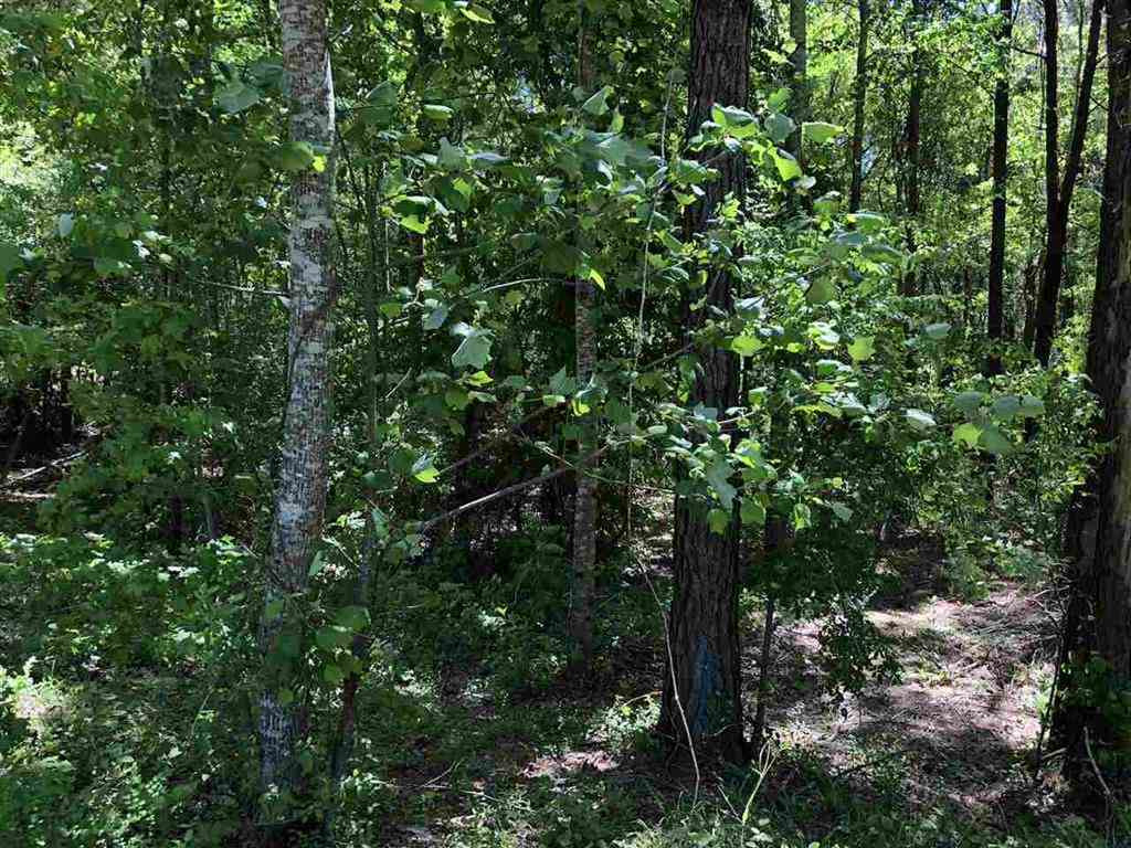 1 Lawrence Hazel Road Lawrence, MS 39336 - Photo 1 of 1 Photo 1