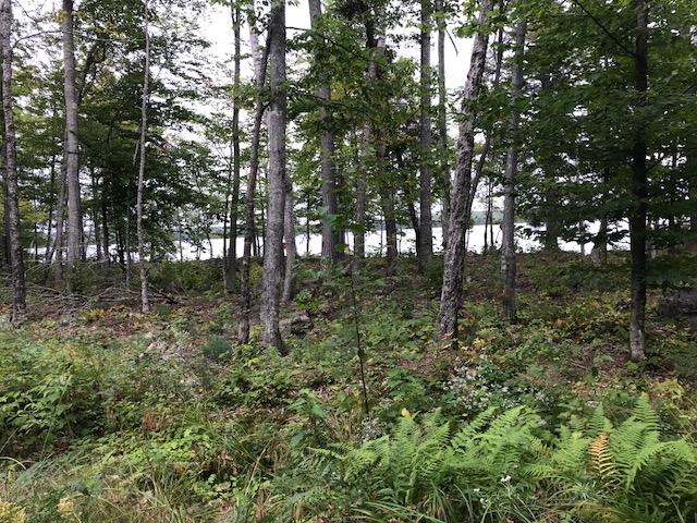 3 Moose Island Road Greenville, ME 04441 - Photo 1 of 1 B1