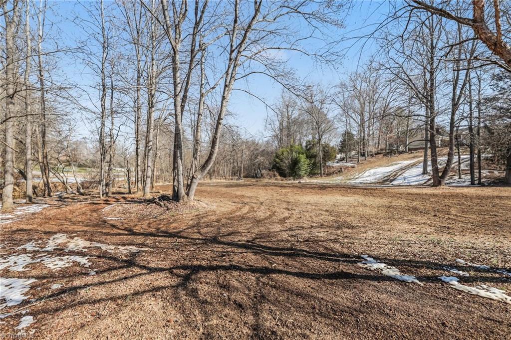 1499 South Peace Haven Road Clemmons, NC 27012 - Photo 13 of 22