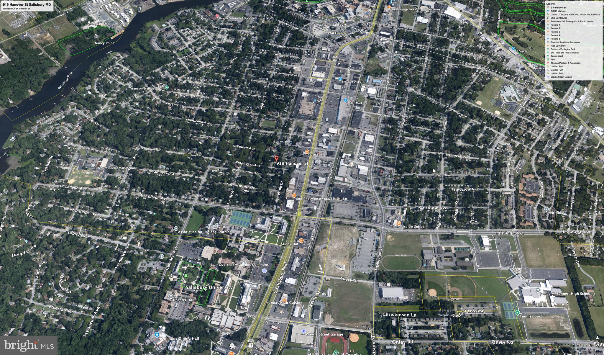 919 Hanover Street Salisbury, MD 21801 - Photo 2 of 4 a picture of city view