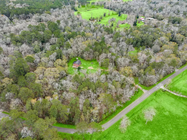 a view of a garden with a tree