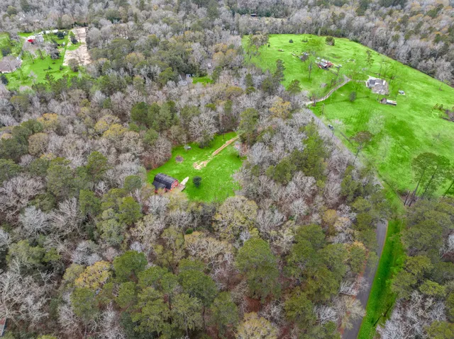 a view of a garden with a tree