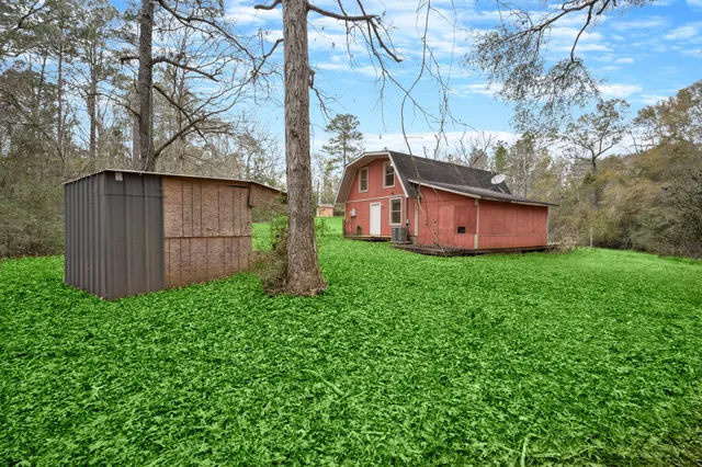 a view of a backyard with potted plants and large tree