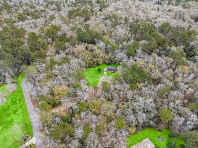 a view of a yard with a tree