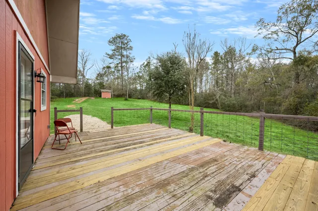 a view of a park with large trees