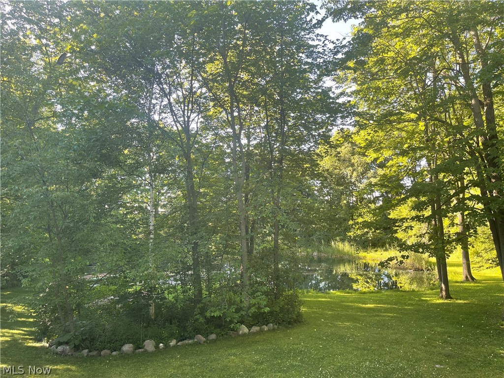 5575 Columbia Road Medina, OH 44256 - Photo 4 of 34 Side yard and lake