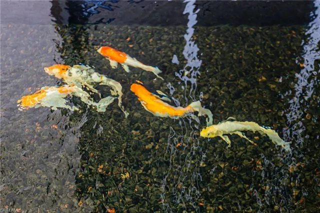 an aerial view of residential house with outdoor space and trees all around