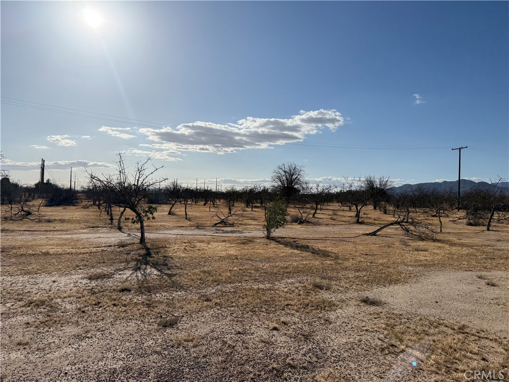 41854 Silver Valley Road Newberry Springs, CA 92365 - Photo 16 of 18 a view of a lake