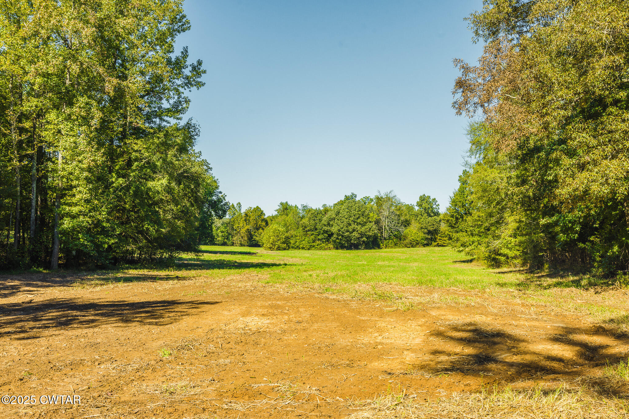 1 Hearn Road Greenfield, TN 38230 - Photo 11 of 14 a view of a yard with a house