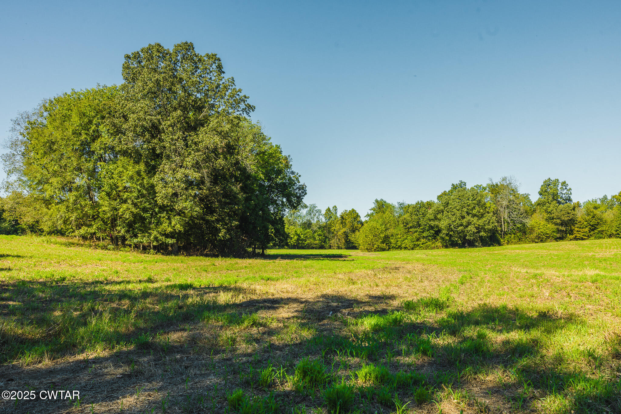 1 Hearn Road Greenfield, TN 38230 - Photo 12 of 14 a view of a yard with an outdoor space