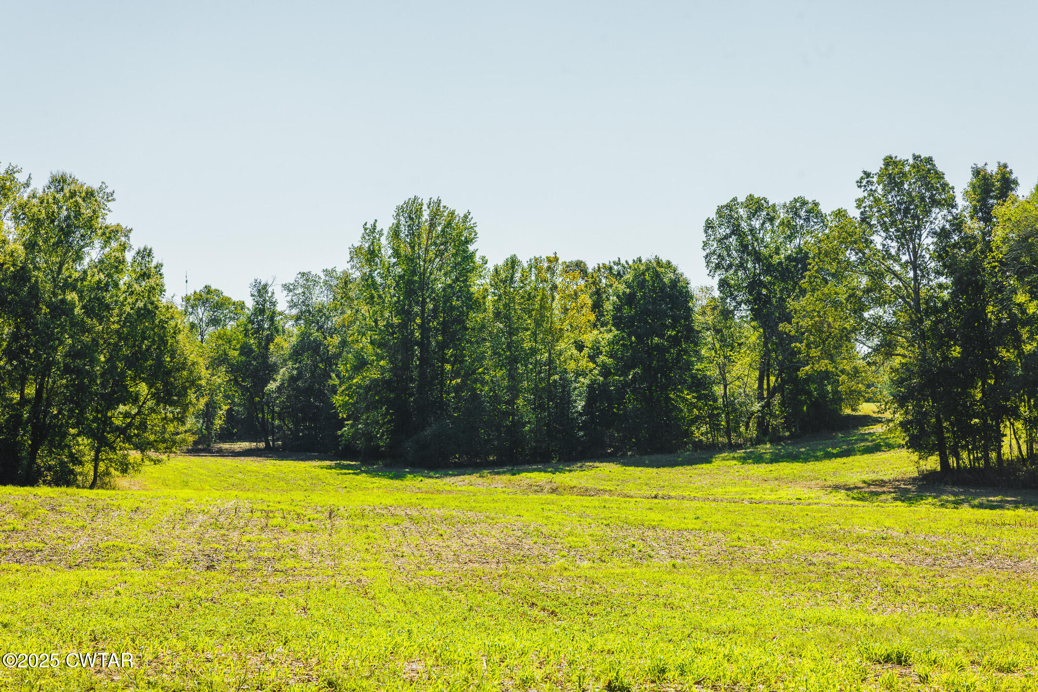 1 Hearn Road Greenfield, TN 38230 - Photo 14 of 14 a view of swimming pool with an outdoor space and seating area