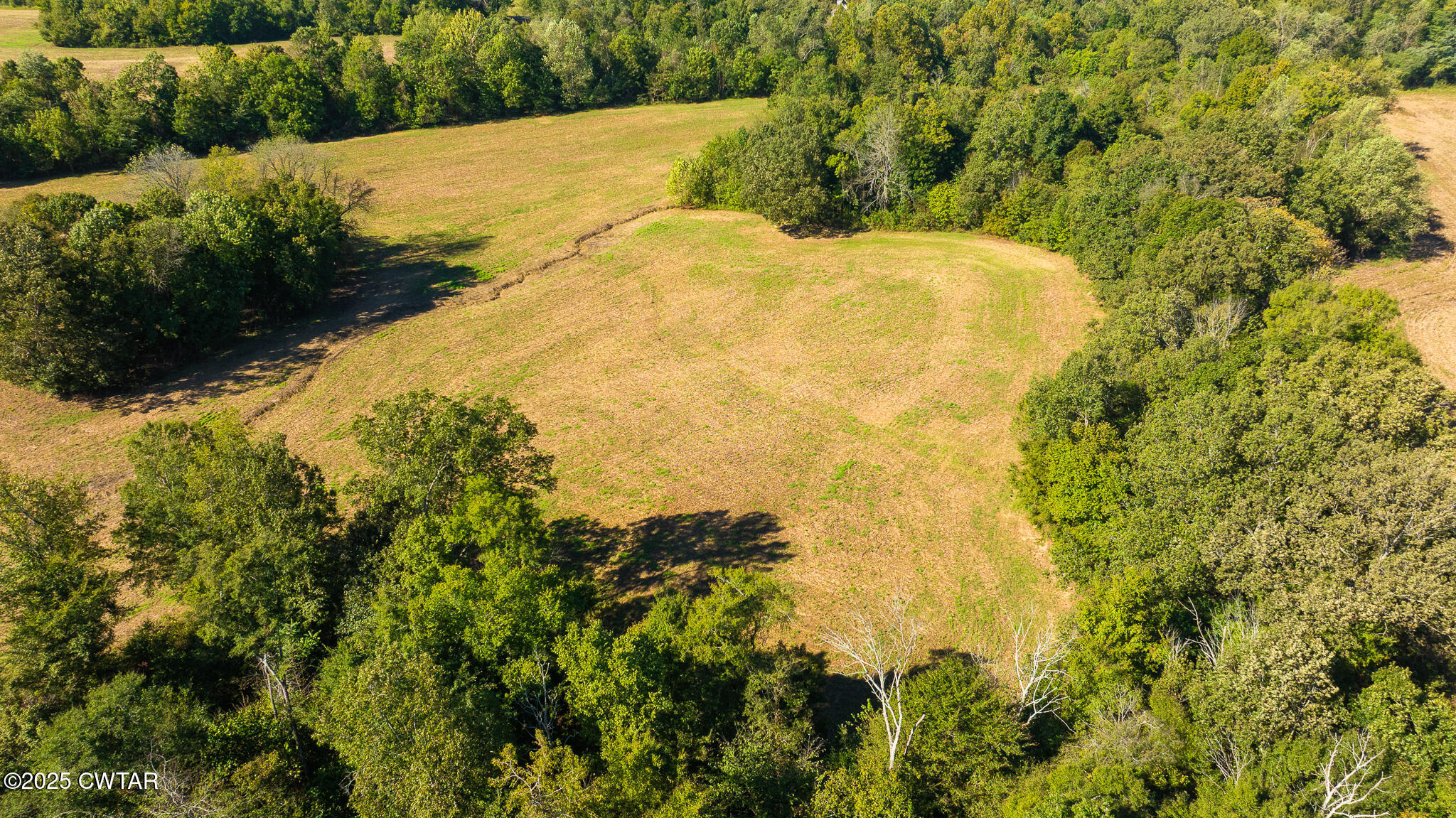 1 Hearn Road Greenfield, TN 38230 - Photo 4 of 14 a view of a yard