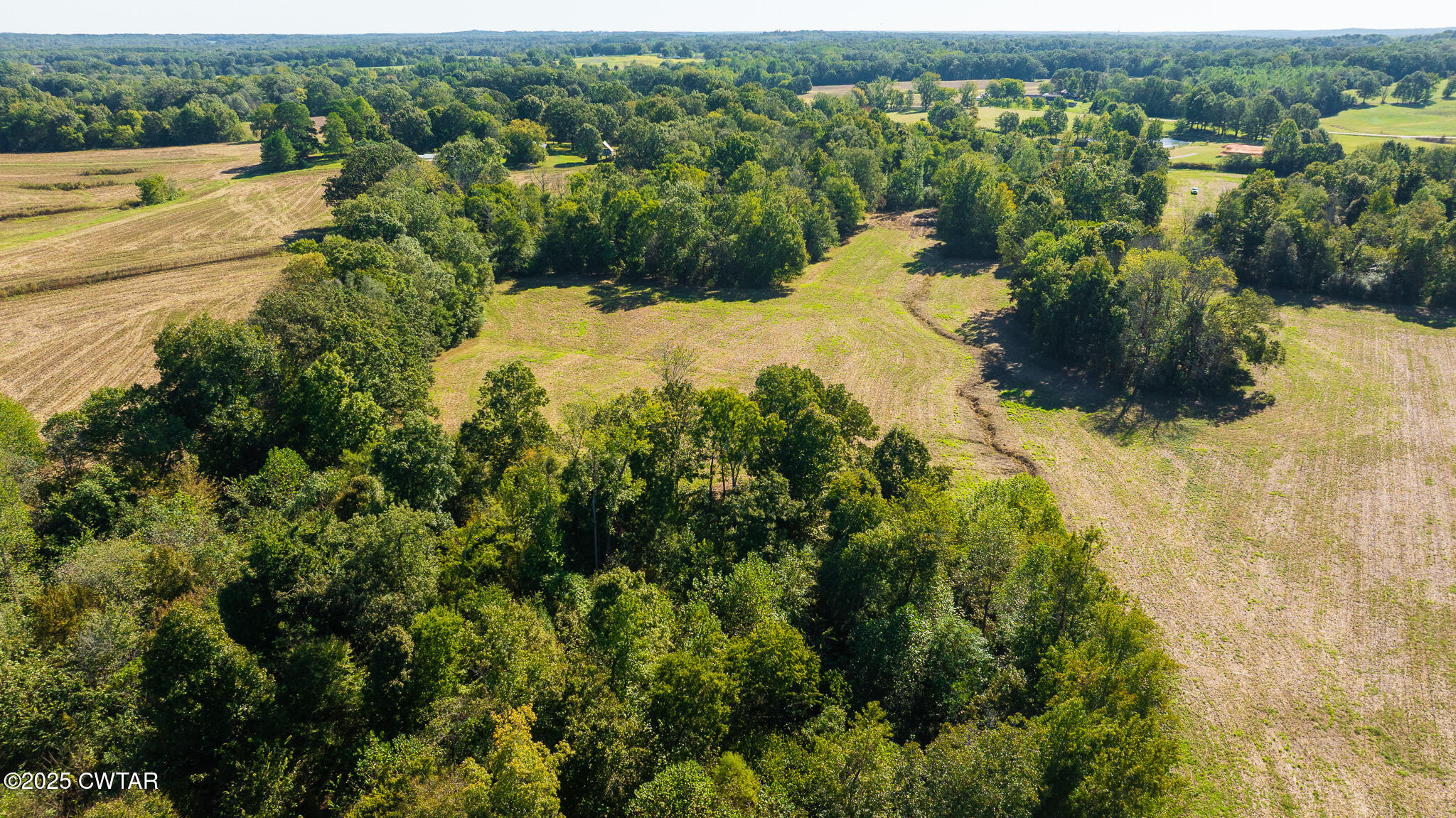 1 Hearn Road Greenfield, TN 38230 - Photo 5 of 14 a view of a lake