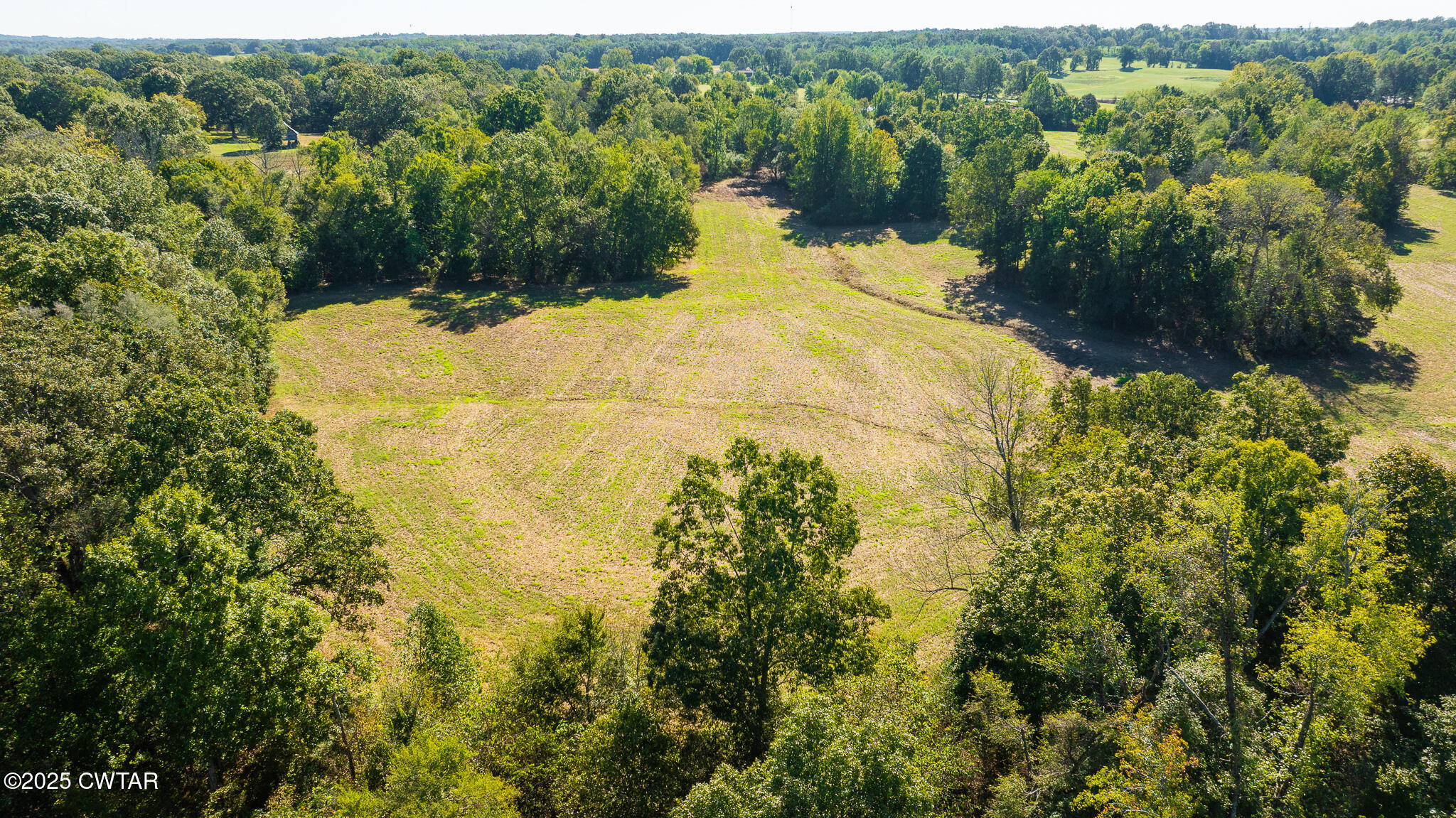 1 Hearn Road Greenfield, TN 38230 - Photo 6 of 14