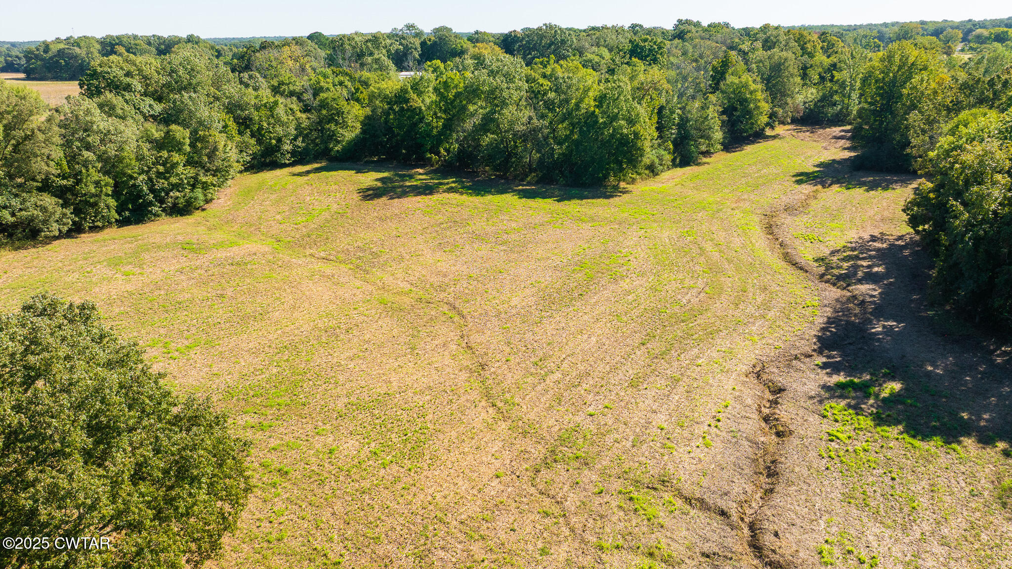 1 Hearn Road Greenfield, TN 38230 - Photo 7 of 14 a view of a yard