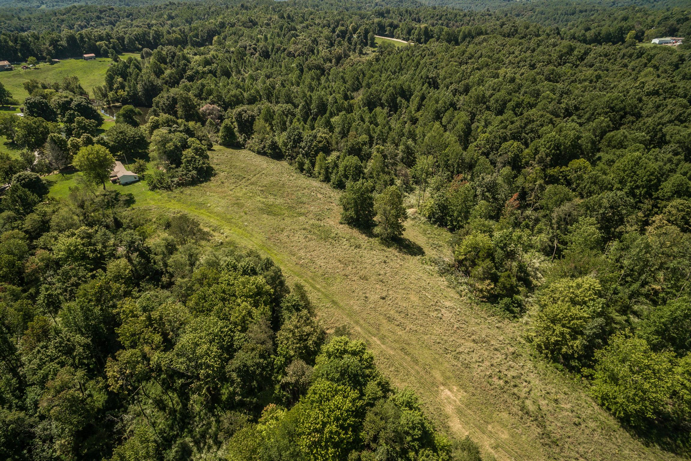 1560 Reese Road Bethpage, TN 37022 - Photo 17 of 22 a view of a yard